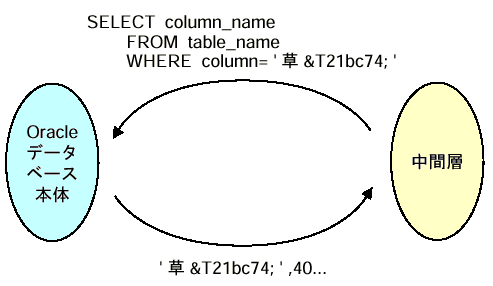 中間層からOracleデータベース本体を検索